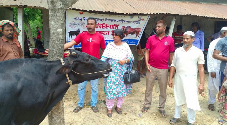 নন্দীগ্রামে কোরবানি পশুর হাটে ভ্রাম্যমাণ ভেটেরিনারি মেডিকেল টিম