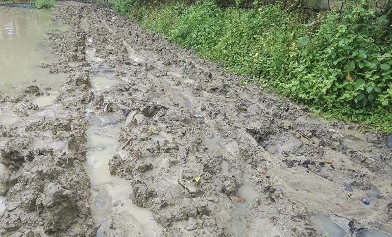 নন্দীগ্রামে ৫ কি.মি রাস্তার বেহাল দশা, চরম ভোগান্তিতে এলাকাবাসী